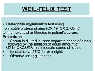 Heterophile agglutination test using  non motile proteus strains (OX 19, OX 2, OX K) to find rickettsial antibodies in patient’s serum.  Procedure: Serum is diluted in three separate series of tubes  followed by the addition of equal amount of OX19,OX2,OXK in 3 separate series of tubes.  Incubation at 37 0 C for overnight.  Observe for agglutination.  WEIL-FELIX TEST 