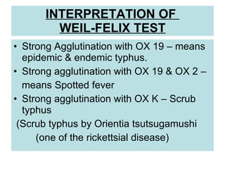 INTERPRETATION OF  WEIL-FELIX TEST Strong Agglutination with OX 19 – means epidemic & endemic typhus.  Strong agglutination with OX 19 & OX 2 – means Spotted fever Strong agglutination with OX K – Scrub typhus  (Scrub typhus by Orientia tsutsugamushi  (one of the rickettsial disease)  