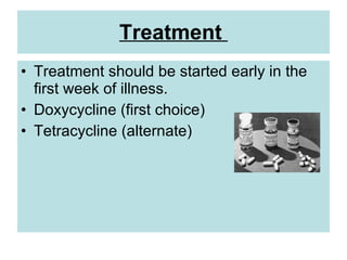 Treatment  Treatment should be started early in the first week of illness. Doxycycline (first choice)  Tetracycline (alternate) 