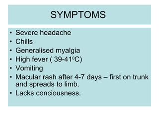 SYMPTOMS  Severe headache Chills  Generalised myalgia High fever ( 39-41 0 C) Vomiting Macular rash after 4-7 days – first on trunk and spreads to limb. Lacks conciousness. 