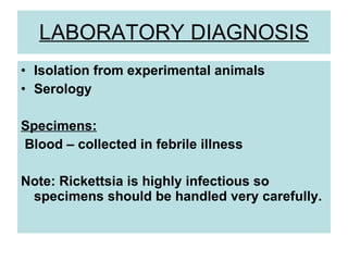 LABORATORY DIAGNOSIS
• Isolation from experimental animals
• Serology
Specimens:
Blood – collected in febrile illness
Note: Rickettsia is highly infectious so
specimens should be handled very carefully.
 