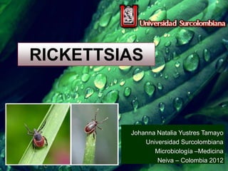 RICKETTSIAS



         Johanna Natalia Yustres Tamayo
             Universidad Surcolombiana
                Microbiología –Medicina
                 Neiva – Colombia 2012
 