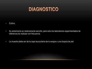 • Cultivo
• Su aislamiento es relativamente sencillo, pero solo los laboratorios experimentados de
referencia los realizan con frecuencia.
• La muestra debe ser de la capa leucocitaria de la sangre o una biopsia de piel
 