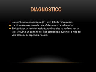  InmunoFluorescencia indirecta (IFI) para detectar Tifus murino.
 Los títulos se detectan en la 1era y 2da semana de enfermedad
 El diagnóstico de infección reciente por rickettsias se confirma con un
título ≥ 1:256 o un aumento del título serológico al cuádruple o más del
valor obtenido en la primera muestra.
 