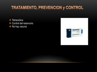  Tetraciclina
 Control del reservorio
 No hay vacuna
 
