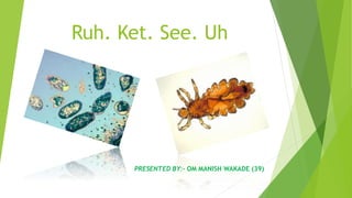 Ruh. Ket. See. Uh
PRESENTED BY:- OM MANISH WAKADE (39)
 