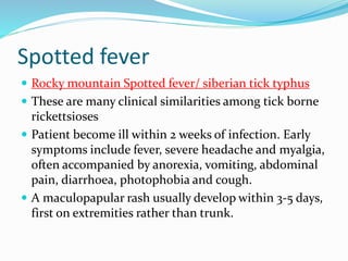 Spotted fever
 Rocky mountain Spotted fever/ siberian tick typhus
 These are many clinical similarities among tick borne
rickettsioses
 Patient become ill within 2 weeks of infection. Early
symptoms include fever, severe headache and myalgia,
often accompanied by anorexia, vomiting, abdominal
pain, diarrhoea, photophobia and cough.
 A maculopapular rash usually develop within 3-5 days,
first on extremities rather than trunk.
 
