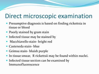 Direct microscopic examination
 Presumptive diagnosis is based on finding rickettsia in
tissue or blood
 Poorly stained by gram stain
 Infected tissue may be stained by
 Macchiavello stain- bright red
 Casteneda stain- blue
 Geimsa stain- bluish purple
 In tissue smear, R rickettsii may be found within nuclei.
 Infected tissue section can be examined by
Immunofluorescence
 