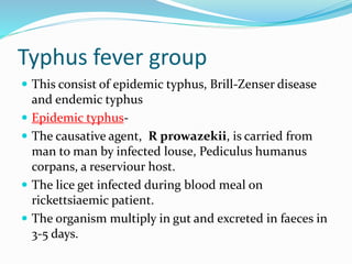 Typhus fever group
 This consist of epidemic typhus, Brill-Zenser disease
and endemic typhus
 Epidemic typhus-
 The causative agent, R prowazekii, is carried from
man to man by infected louse, Pediculus humanus
corpans, a reserviour host.
 The lice get infected during blood meal on
rickettsiaemic patient.
 The organism multiply in gut and excreted in faeces in
3-5 days.
 