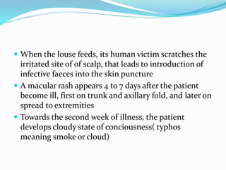  When the louse feeds, its human victim scratches the
irritated site of of scalp, that leads to introduction of
infective faeces into the skin puncture
 A macular rash appears 4 to 7 days after the patient
become ill, first on trunk and axillary fold, and later on
spread to extremities
 Towards the second week of illness, the patient
develops cloudy state of conciousness( typhos
meaning smoke or cloud)
 