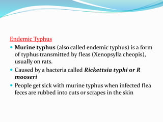 Endemic Typhus
 Murine typhus (also called endemic typhus) is a form
of typhus transmitted by fleas (Xenopsylla cheopis),
usually on rats.
 Caused by a bacteria called Rickettsia typhi or R
mooseri
 People get sick with murine typhus when infected flea
feces are rubbed into cuts or scrapes in the skin
 