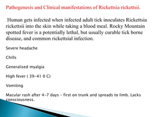 Ricketta Rash Rickettsia.pptx