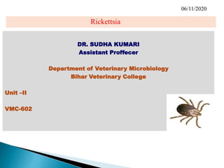Rickettsia
DR. SUDHA KUMARI
Assistant Proffecer
Department of Veterinary Microbiology
Bihar Veterinary College
Unit –II
VMC-602
06/11/2020
 