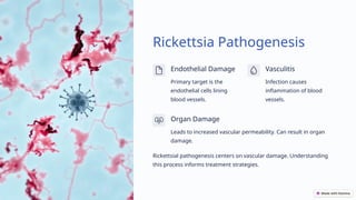 Rickettsia bacterial pathogen a stealthy | PPTX