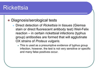 Specific rickettsial serology