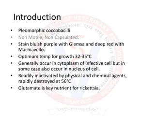 Introduction
• Pleomorphic coccobacilli
• Non Motile, Non Capsulated.
• Stain bluish purple with Giemsa and deep red with
Machiavello.
• Optimum temp for growth 32-35°C
• Generally occur in cytoplasm of infective cell but in
some case also occur in nucleus of cell.
• Readily inactivated by physical and chemical agents,
rapidly destroyed at 56°C
• Glutamate is key nutrient for rickettsia.
 