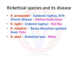Rickettsial species and its disease
• R. prowazekii – Epidemic typhus, Brill-
Zinsser disease – Human body louse
• R. typhi – Endemic typhus – Rat flea
• R. rickettsii – Rocky-Mountain spotted
fever-Ticks
• R. akari – Rickettsial pox - Mites
 