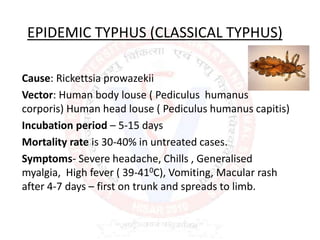 EPIDEMIC TYPHUS (CLASSICAL TYPHUS)
Cause: Rickettsia prowazekii
Vector: Human body louse ( Pediculus humanus
corporis) Human head louse ( Pediculus humanus capitis)
Incubation period – 5-15 days
Mortality rate is 30-40% in untreated cases.
Symptoms- Severe headache, Chills , Generalised
myalgia, High fever ( 39-410C), Vomiting, Macular rash
after 4-7 days – first on trunk and spreads to limb.
 