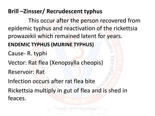 Brill –Zinsser/ Recrudescent typhus
This occur after the person recovered from
epidemic typhus and reactivation of the rickettsia
prowazekii which remained latent for years.
ENDEMIC TYPHUS (MURINE TYPHUS)
Cause- R. typhi
Vector: Rat flea (Xenopsylla cheopis)
Reservoir: Rat
Infection occurs after rat flea bite
Rickettsia multiply in gut of flea and is shed in
feaces.
 