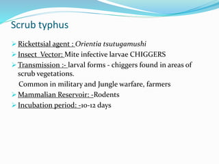 Scrub typhus
 Rickettsial agent : Orientia tsutugamushi
 Insect Vector: Mite infective larvae CHIGGERS
 Transmission :- larval forms - chiggers found in areas of
scrub vegetations.
Common in military and Jungle warfare, farmers
 Mammalian Reservoir: -Rodents
 Incubation period: -10-12 days
 