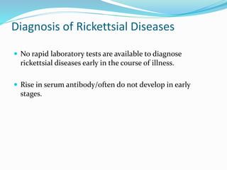 Diagnosis of Rickettsial Diseases
 No rapid laboratory tests are available to diagnose
rickettsial diseases early in the course of illness.
 Rise in serum antibody/often do not develop in early
stages.
 