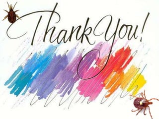 I am
dangerous,
don’t
underestimate
me.
 