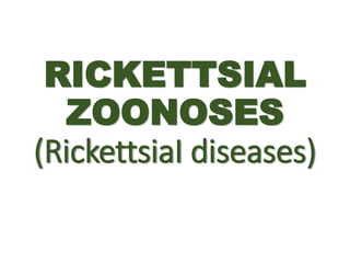 RICKETTSIAL
ZOONOSES
(RickettsiaI diseases)
 