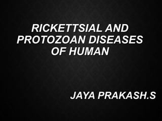 RICKETTSIAL AND
PROTOZOAN DISEASES
OF HUMAN
JAYA PRAKASH.S
 