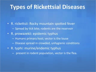 Types of Rickettsial Diseases
• R. rickettsii: Rocky mountain spotted fever
– Spread by tick bite; rodents are the reservoir
• R. prowazekii: epidemic typhus
– Humans primary host; vector is the louse
– Disease spread in crowded, unhygienic conditions
• R. typhi: murine/endemic typhus
– present in rodent population, vector is the flea.
 