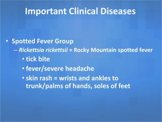 Important Clinical Diseases
• Spotted Fever Group
– Rickettsia rickettsii = Rocky Mountain spotted fever
• tick bite
• fever/severe headache
• skin rash = wrists and ankles to
trunk/palms of hands, soles of feet
 