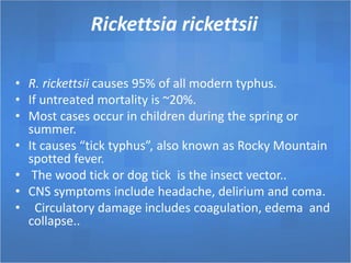 Rickettsia rickettsii
• R. rickettsii causes 95% of all modern typhus.
• If untreated mortality is ~20%.
• Most cases occur in children during the spring or
summer.
• It causes “tick typhus”, also known as Rocky Mountain
spotted fever.
• The wood tick or dog tick is the insect vector..
• CNS symptoms include headache, delirium and coma.
• Circulatory damage includes coagulation, edema and
collapse..
 
