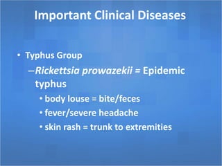 Important Clinical Diseases
• Typhus Group
–Rickettsia prowazekii = Epidemic
typhus
• body louse = bite/feces
• fever/severe headache
• skin rash = trunk to extremities
 