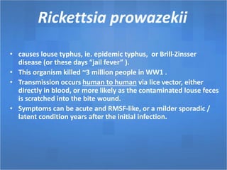 Rickettsia prowazekii
• causes louse typhus, ie. epidemic typhus, or Brill-Zinsser
disease (or these days “jail fever” ).
• This organism killed ~3 million people in WW1 .
• Transmission occurs human to human via lice vector, either
directly in blood, or more likely as the contaminated louse feces
is scratched into the bite wound.
• Symptoms can be acute and RMSF-like, or a milder sporadic /
latent condition years after the initial infection.
 