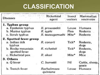 CLASSIFICATION
 