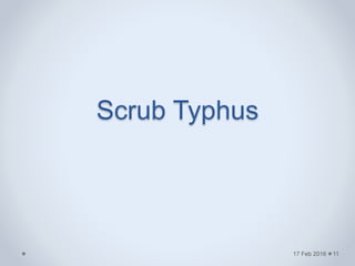 Scrub Typhus
17 Feb 2016 11
 