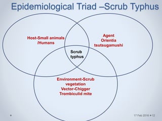 Epidemiological Triad –Scrub Typhus
17 Feb 2016
Host-Small animals
/Humans
Agent
Orientia
tsutsugamushi
Environment-Scrub
vegetation
Vector-Chigger
Trombiculid mite
Scrub
typhus
12
 