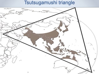 Tsutsugamushi triangle
17 Feb 2016 16
 