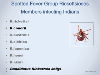 Spotted Fever Group Rickettsioses
Members infecting Indians
• R.rickettsi
• R.conorii
• R.australis
• R.sibirica
• R.japonica
• R.honei
• R.akari
• Candidatus Rickettsia kellyi
17 Feb 2016 28
 