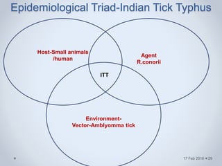 Epidemiological Triad-Indian Tick Typhus
17 Feb 2016
Host-Small animals
/human
Agent
R.conorii
Environment-
Vector-Amblyomma tick
ITT
29
 