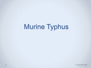 Murine Typhus
17 Feb 2016 36
 