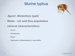 • Agent -Rickettsia typhi
• Mode - rat and flea population
• clinical characteristics:
o Fever
o Headache
o Rash
o Systemic inflammatory vasculitis
17 Feb 2016
Murine typhus
37
 