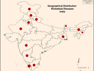 17 Feb 2016
Geographical Distribution
Rickettsial Diseases
India
6
 
