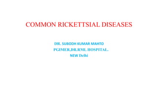 COMMON RICKETTSIAL DISEASES
DR. SUBODH KUMAR MAHTO
PGIMER,DR.RML HOSPITAL.
NEW Delhi
 