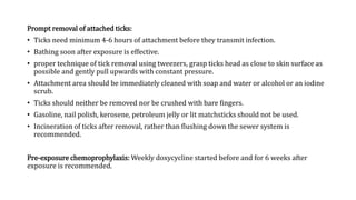 Rickettsial Infection.pptx