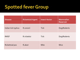 Disease              Rickettsial Agent   Insect Vector   Mammalian
                                                         Reservoir


Indian tick typhus   R.conorii           Tick            Dog/Rodents



RMSF                 R.rickettsi         Tick            Dog/Rodents



Rickettsial pox      R.akari             Mite            Mice
 