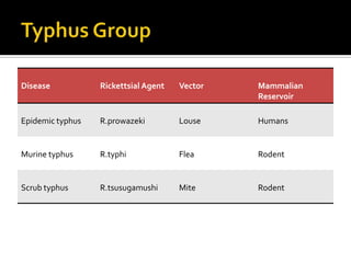 Disease           Rickettsial Agent   Vector   Mammalian
                                               Reservoir

Epidemic typhus   R.prowazeki         Louse    Humans


Murine typhus     R.typhi             Flea     Rodent


Scrub typhus      R.tsusugamushi      Mite     Rodent
 