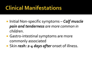    Initial Non-specific symptoms – Calf muscle
    pain and tenderness are more common in
    children.
   Gastro-intestinal symptoms are more
    commonly associated
   Skin rash: 2-4 days after onset of illness.
 