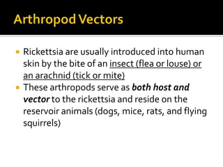    Rickettsia are usually introduced into human
    skin by the bite of an insect (flea or louse) or
    an arachnid (tick or mite)
   These arthropods serve as both host and
    vector to the rickettsia and reside on the
    reservoir animals (dogs, mice, rats, and flying
    squirrels)
 