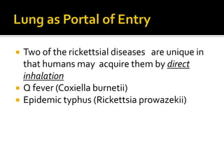    Two of the rickettsial diseases are unique in
    that humans may acquire them by direct
    inhalation
   Q fever (Coxiella burnetii)
   Epidemic typhus (Rickettsia prowazekii)
 