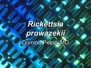 Rickettsia
prowazekii
Domina Petric, MD
 
